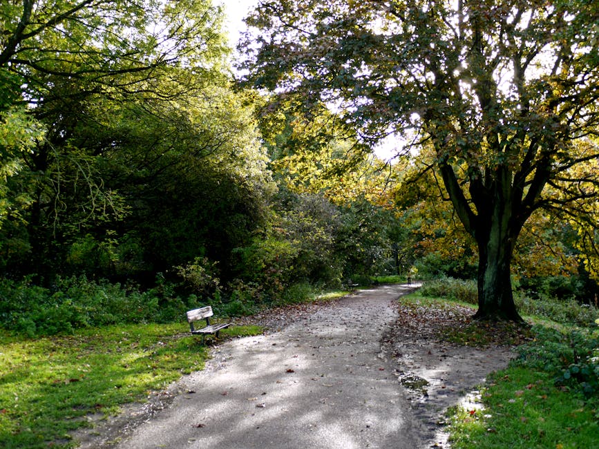 The image depicts a quiet pathway in a park surrounded by lush green trees with dense foliage, some of which show hints of autumnal yellow and orange. The pathway, made of compacted dirt and gravel, curves gently into the distance and is partially shaded by the overhead branches, creating a dappled pattern of light and shadow. On the left side of the path, there is a weathered wooden bench with peeling white paint, positioned slightly off the trail amidst grass and small plants. To the right, a large mature tree with a thick trunk and a broad canopy extends its branches over the pathway, providing additional shade. The environment appears peaceful and well-maintained, typical of an outdoor public or private green space. This scene may be indicative of a location where outdoor rubbish removal or waste disposal, such as leaf and branch clearance, could be part of land management activities undertaken by services like Waste Disposal Hampstead, which specialises in independent waste collection and on-site clearance solutions in the area.